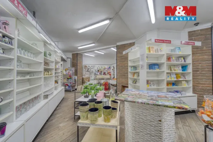 Pronájem obchodního prostoru, Plzeň - Vnitřní Město, Bedřicha Smetany, 304 m2