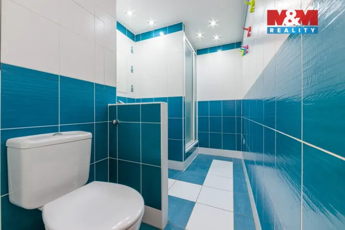 Pronájem bytu 2+1, Sokolov, Alšova, 62 m2