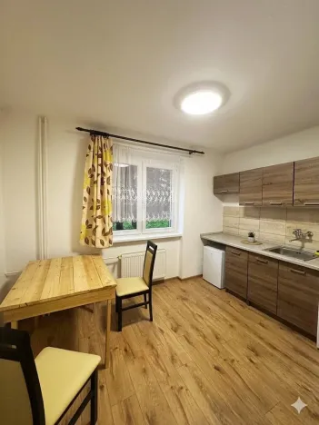 Pronájem bytu 1+1, Litvínov - Chudeřín, Horská, 42 m2