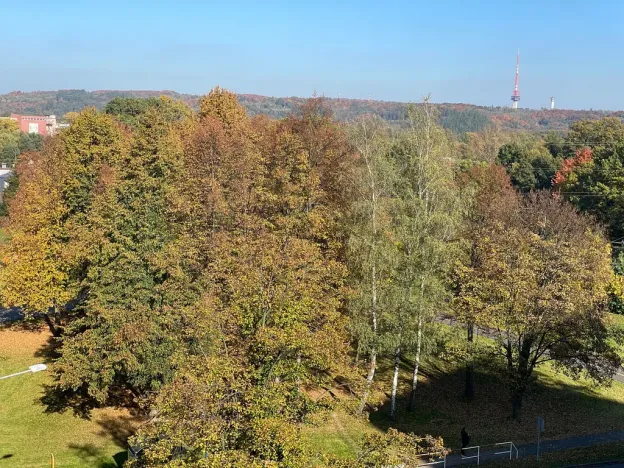 Pronájem bytu 2+1, Ostrava, Průběžná, 40 m2