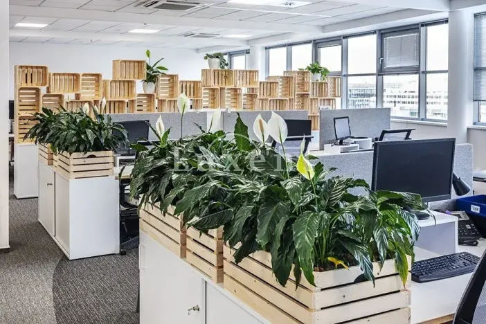 Pronájem kanceláře, Praha - Nusle, Doudlebská, 303 m2