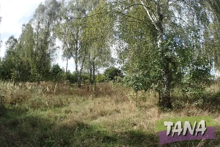 Prodej komerčního pozemku, Mnichovo Hradiště, 7495 m2