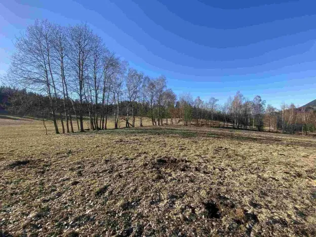 Prodej pozemku, Bernartice, 11266 m2