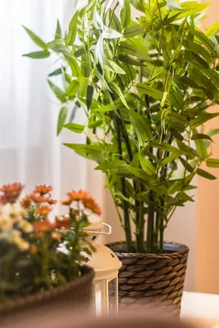 Pronájem bytu 1+1, Praha - Holešovice, Plynární, 37 m2