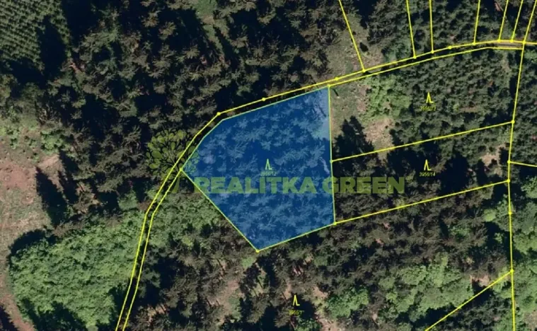 Prodej lesa, Halenkov, 3003 m2