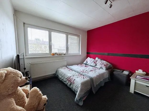 Prodej bytu 5+1, Branice, 254 m2