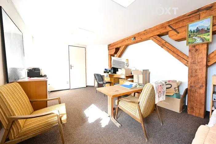 Prodej obchodního prostoru, Bílovec, 817 m2