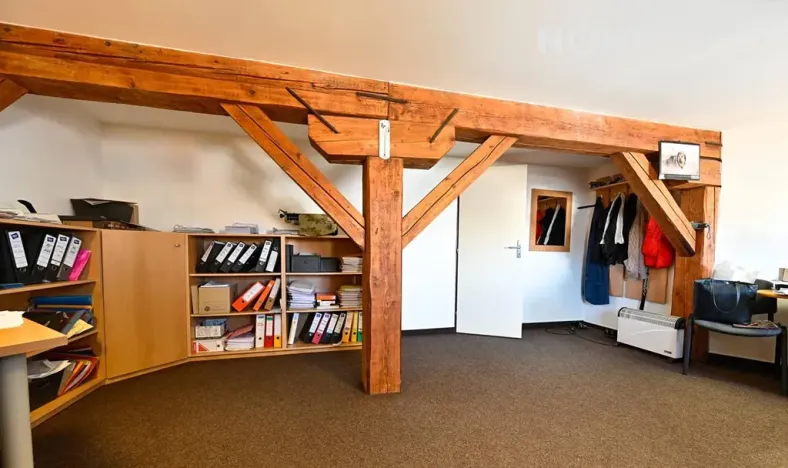 Prodej obchodního prostoru, Bílovec, 817 m2