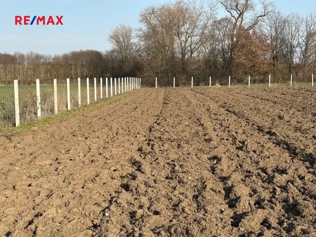 Prodej sadu/vinice, Nové Dvory, 9979 m2