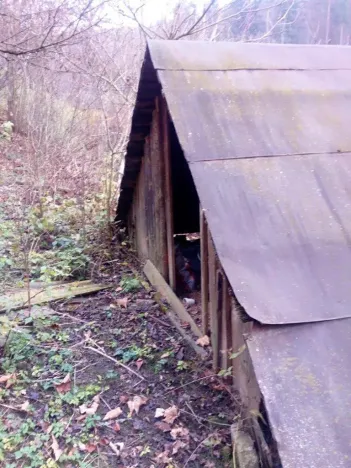 Dražba - jiné, Brumov-Bylnice, 29 m2