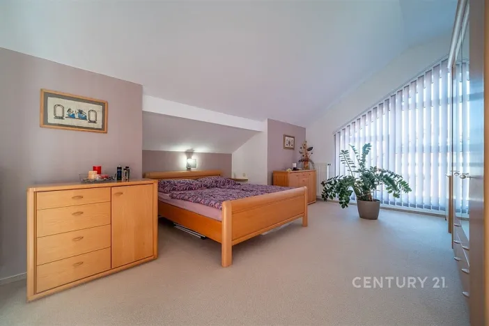 Prodej rodinného domu, Žabovřesky, 285 m2