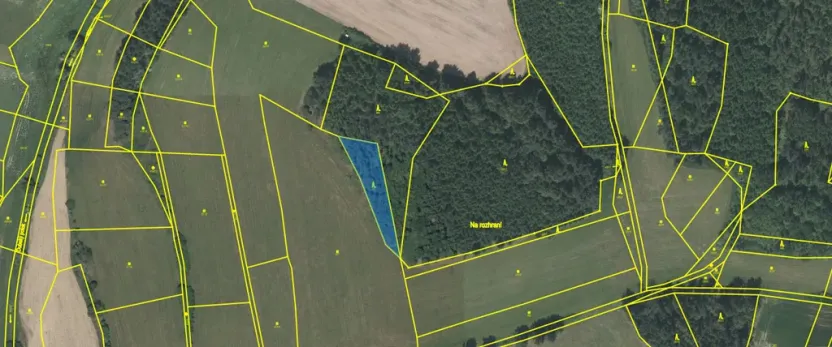 Prodej lesa, Čepřovice, 1644 m2