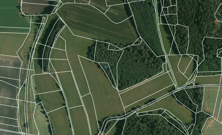 Prodej lesa, Čepřovice, 1644 m2