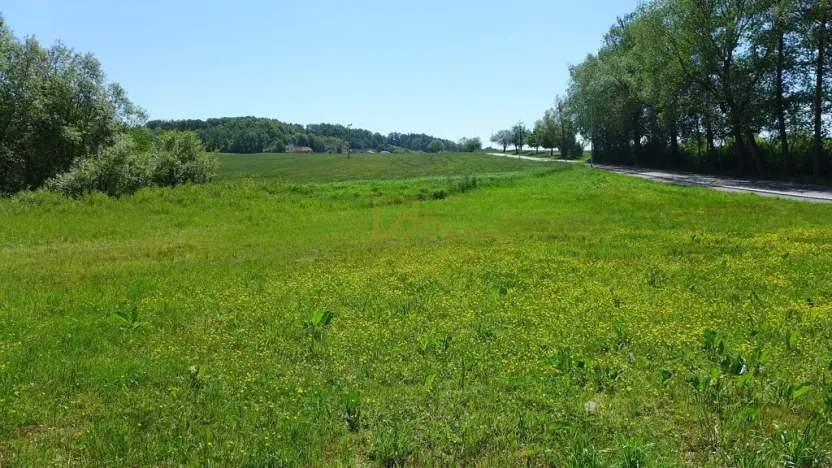 Prodej pozemku, Vráto, 790 m2