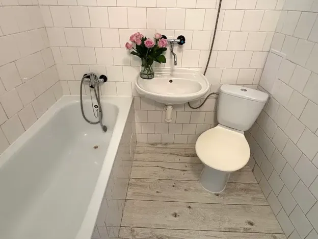 Pronájem bytu 1+kk, Frýdek-Místek, El. Krásnohorské, 29 m2