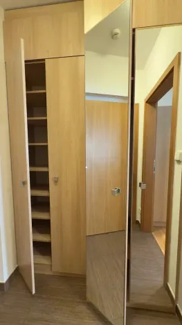 Pronájem bytu 1+kk, Brno, Vinohrady, 38 m2