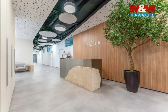 Pronájem komerční nemovitosti, Praha, Jihlavská, 30 m2