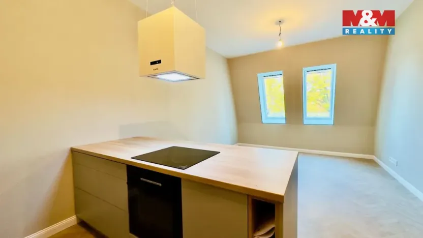 Pronájem bytu 2+kk, Opava - Předměstí, Riegrova, 56 m2