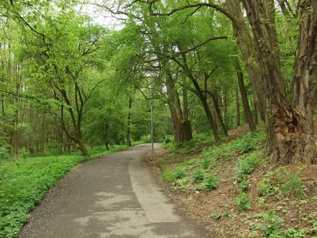 Pronájem bytu 1+kk, Praha, Milánská, 35 m2