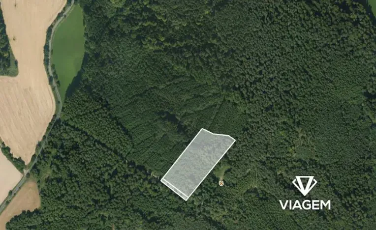 Prodej lesa, Březina, 18560 m2