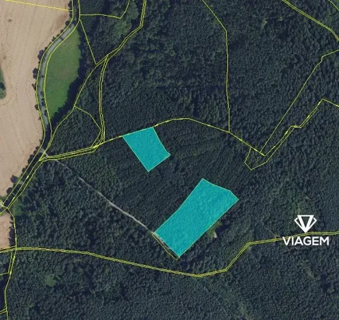 Prodej lesa, Březina, 18560 m2