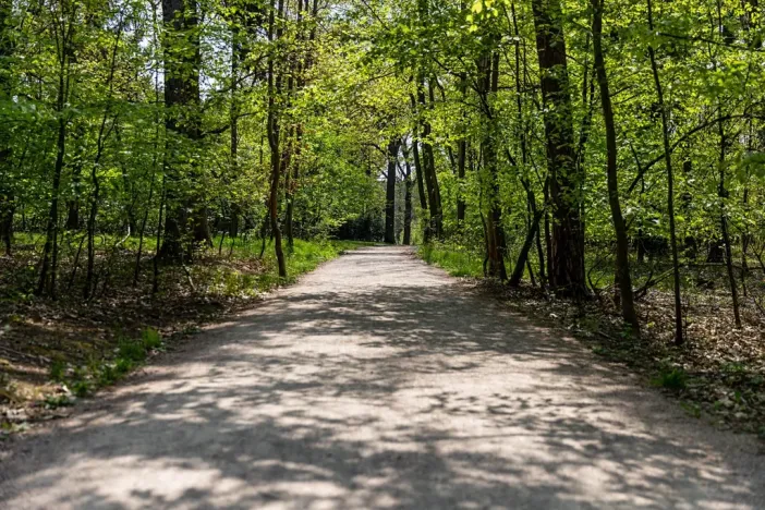 Pronájem kanceláře, Praha - Chodov, Tomíčkova, 5000 m2