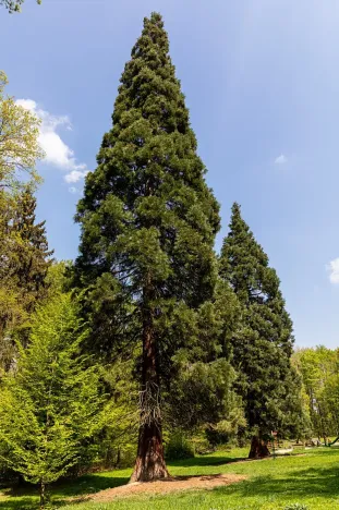 Pronájem kanceláře, Praha - Chodov, Tomíčkova, 3000 m2
