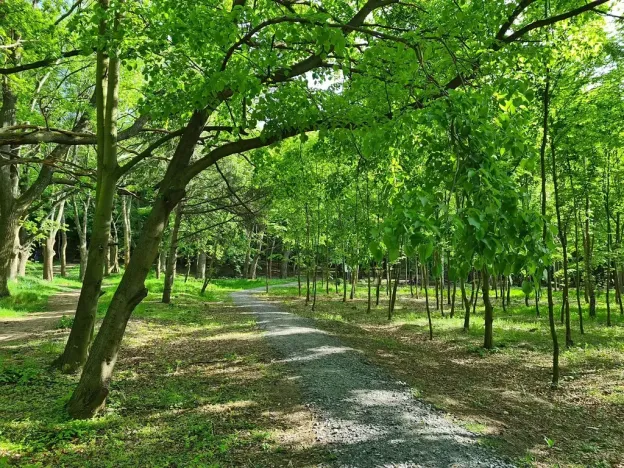 Pronájem kanceláře, Praha - Chodov, Tomíčkova, 33000 m2