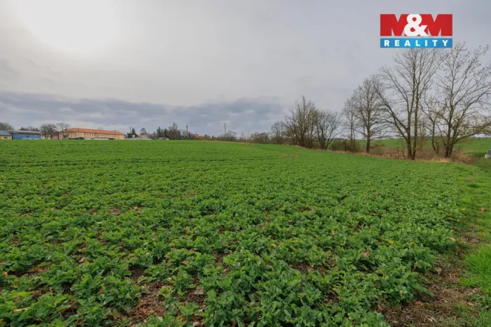 Prodej pozemku pro bydlení, Dobřany, 6134 m2