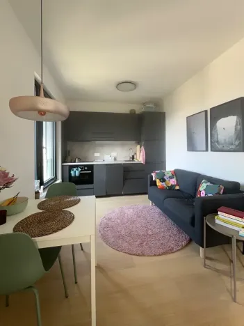 Pronájem bytu 1+kk, Praha - Strašnice, Michelangelova, 37 m2