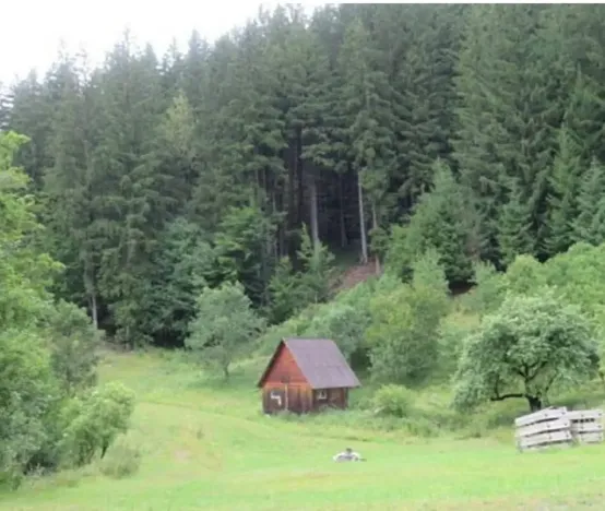 Dražba louky, Velké Karlovice, 24946 m2