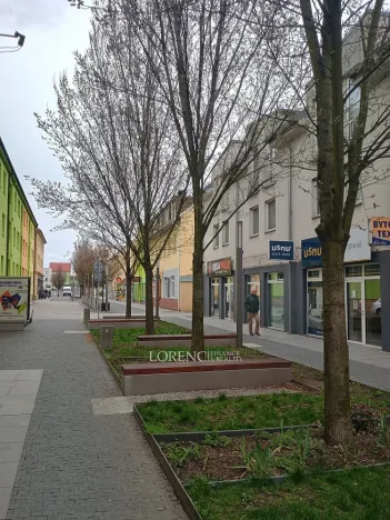 Pronájem bytu 1+kk, Veselí nad Moravou, tř. Masarykova, 56 m2