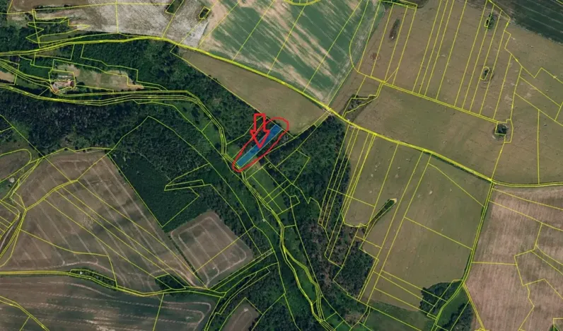 Prodej podílu lesa, Boskovštejn, 1959 m2