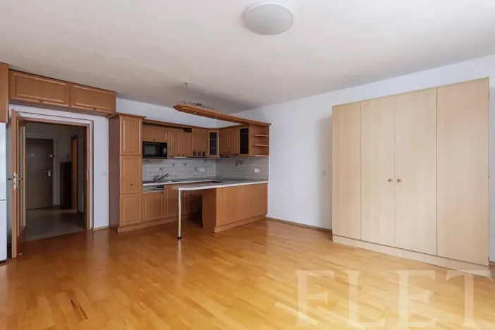 Pronájem bytu 1+kk, Praha - Michle, Jemnická, 39 m2