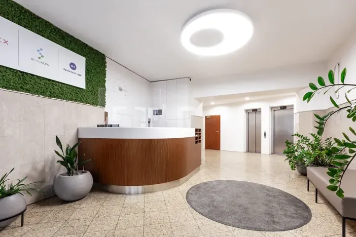 Pronájem kanceláře, Praha - Nové Město, Truhlářská, 37 m2