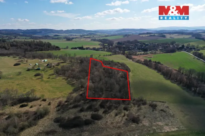 Prodej lesa, Obytce, 20042 m2