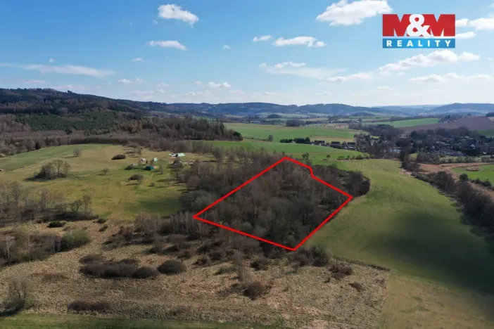 Prodej lesa, Obytce, 20042 m2