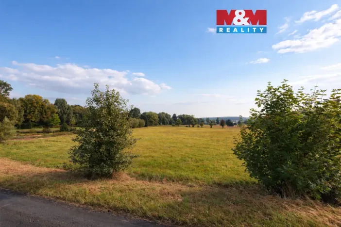 Prodej louky, Třemošná, 2118 m2