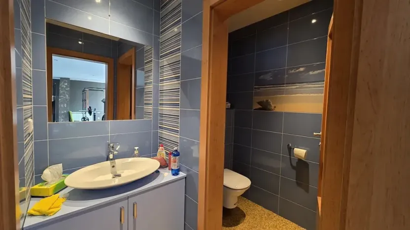 Prodej činžovního domu, Náchod, Komenského, 1000 m2