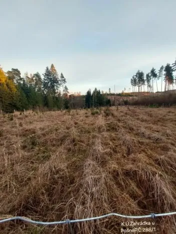 Prodej lesa, Pošná, 12283 m2
