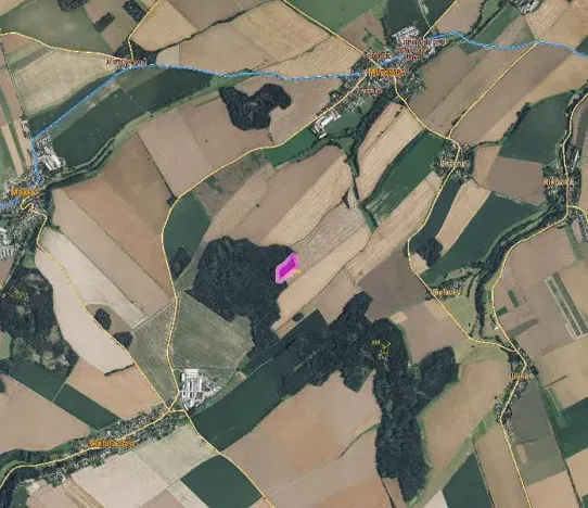 Prodej lesa, Morašice, 11313 m2