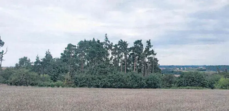 Prodej lesa, Boskovštejn, 2506 m2