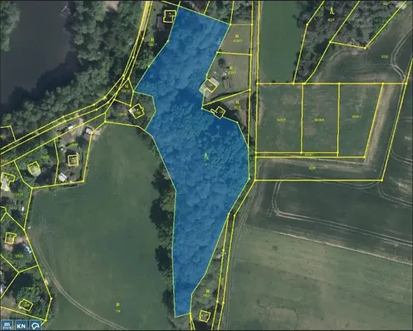 Prodej lesa, Krahulov, 7403 m2