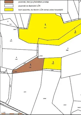 Prodej lesa, Třešť, 1547 m2