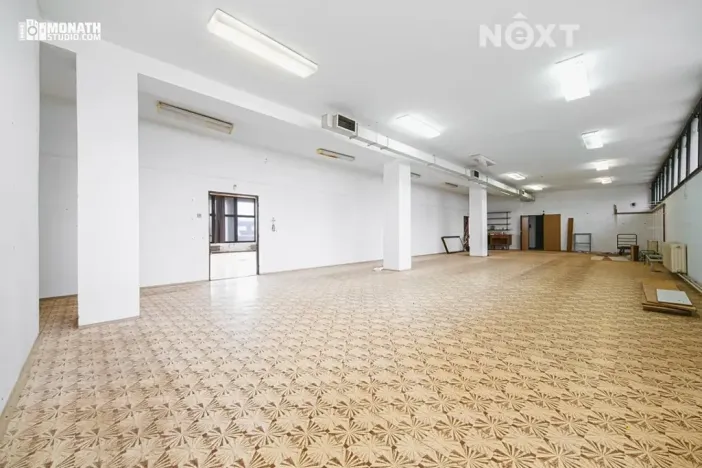 Prodej komerční nemovitosti, Čejč, 3500 m2
