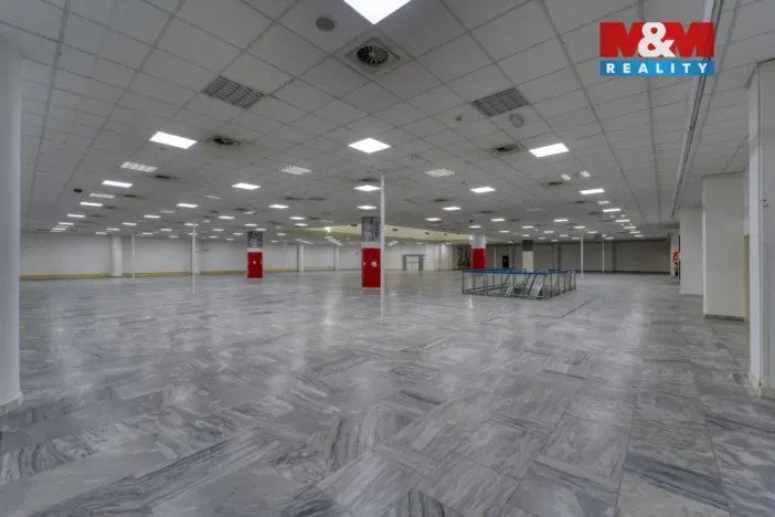 Pronájem obchodního prostoru, Plzeň - Východní Předměstí, Americká, 1603 m2