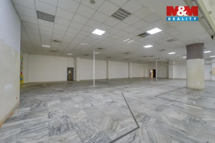 Pronájem obchodního prostoru, Plzeň - Východní Předměstí, Americká, 1603 m2