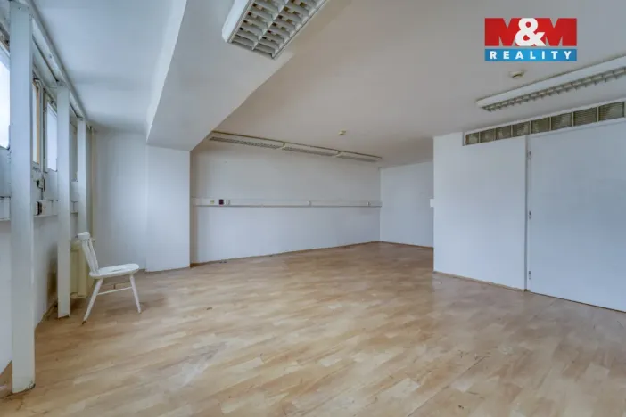 Pronájem obchodního prostoru, Plzeň - Východní Předměstí, Americká, 1603 m2