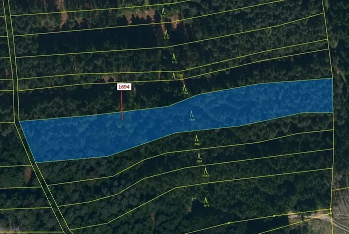 Dražba lesa, Žirovnice, 5755 m2