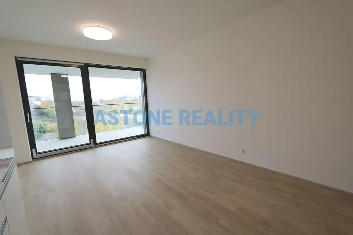 Pronájem bytu 1+kk, Praha - Žižkov, Šrámkové, 43 m2